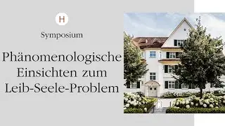 Körper-Seele: phänomenologische Einsichten zum Leib-Seele-Problem