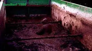 worker playing in slurry container