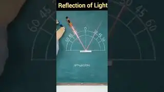 Reflection of light🌹