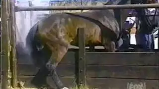 pain compilation