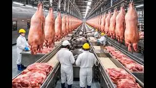 Inside America's Largest Pig Farm – From Birth to Slaughterline