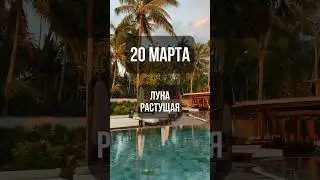 20 марта. Лунный календарь. Растущая луна. #лунный #календарь #лунныйкалендарь