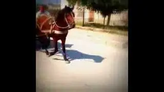 Vlora 2013 - Ja pse duhet te vizitoni Vloren :)