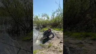 Мечта каждого рыбака