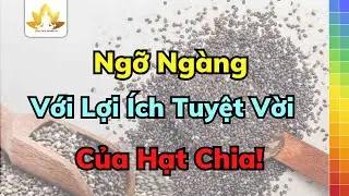 Ngỡ Ngàng Với Lợi Ích Tuyệt Vời Của Hạt Chia!