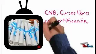 Contenidos Programáticos Ale