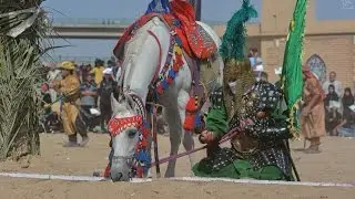 ملا علاء العكيلي ** يابو الحيل تعب الخيل ** شور يموت يفوتكم شباب اتحداك اذا ما تعيدهه مرة ثانية 2016
