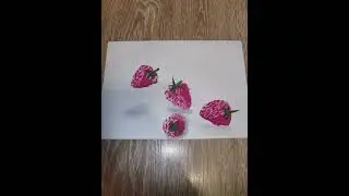 мои рисунки🖼️😻🌇