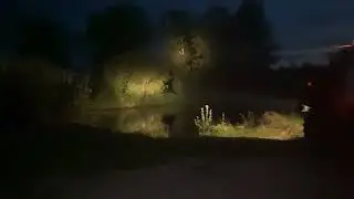 Поисковая операция в Горпарке