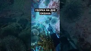 Генеральная Уборка На Дне Океана