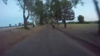 Покатушки на велосипеде