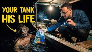 Inside the Deadly Hunt for Aquarium Fish