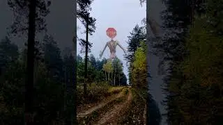 Siren Head clears the forest of trash #shorts #sirenhead