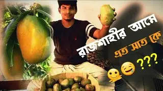 রাজশাহীর আমে  এত সাত কে??? || Rajshahi  || Ready Blog [ Bloge 07 ]