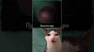 Кушает 😋