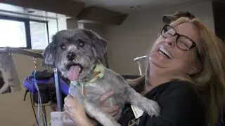 Extreme Puppy Makeover - Prank it FWD