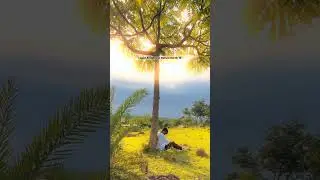 sad song shayri whatsapp status video #sadstatus #sadshayaristatus #shorts #shayri