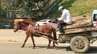 Bac Ha market
