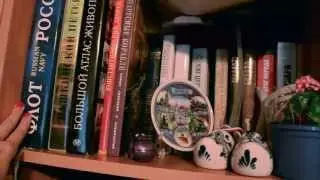 Тур по книжным полкам. Ч.1: Загородные полки | Улилай