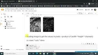 Cassava (Plant disease) Classification - Python Google Colab