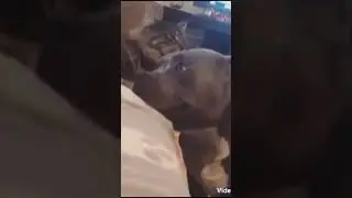 #позитивноенастроение @Маришкины делишки