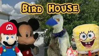 Bird House