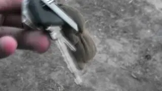 ghjg