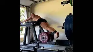 Reverse Hyperextensions Build Lower Backs of Steel