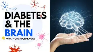 Diabetes & The Brain