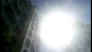 Отпускаю на свободу птицекрылку троидес радамантус 🦋❤️. Брест.