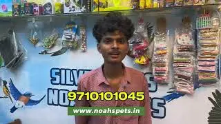 Pongal offer 2025