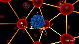 The magnificent order in the structure of the atom