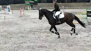 16.09.2017 Kobylarnia Brador P