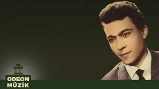 Hasan Temel - Zilleri Al Eline (45'lik)