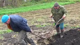 Сажаем с Батей картошку под зиму и эксперементируем с сайдингом