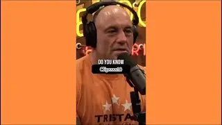 Joe rogan podcast clip abt what happen in pandemic 😷 #podcastclips #joerogan #trending