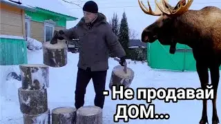 МНОГО ДРУЗЕЙ ПРИШЛО В ПЕРВЫЙ ДЕНЬ ЗИМЫ В ДЕРЕВНЕ