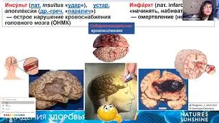 Здоровье нервной системы 5