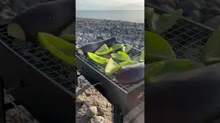 10$ Mini charocal bbq/grill.