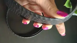 Ремень из кожи питона