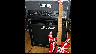 LANEY VH100R