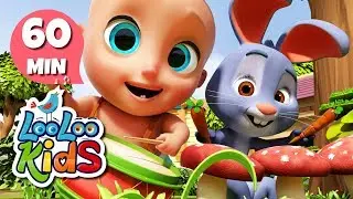 Musical Instruments 🎻 - S2EP67 Musical Adventure Collection - LooLoo Kids Songs for Kids