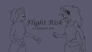 Flight Risk || She-Ra Animatic