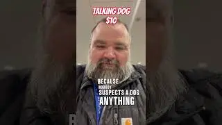 He CAN talk! #labradorretriever #dog #doglover #dadjokes