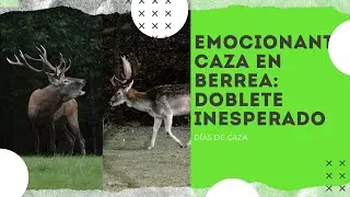 EMOCIONANTE CAZA  DE CIERVO EN BERREA: DOBLETE INESPERADO