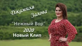 Джамиля Залова  НЕЖНЫЙ ВОР