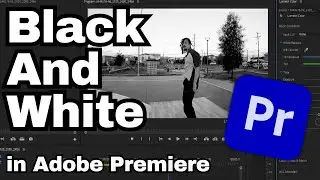How to Make Video Black and White in Adobe Premiere Pro CC | Adobe Tutorial