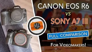 Canon EOS R6 vs Sony A7 III Full Comparison, Part 2: All About Video