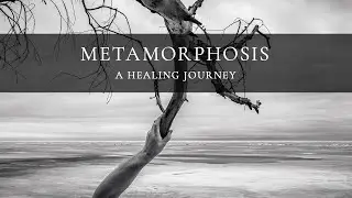Metamorphosis -  A Healing Journey