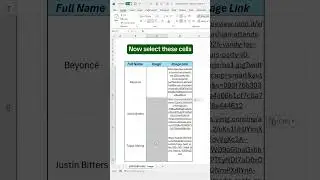 How to import images from the web in Excel! 